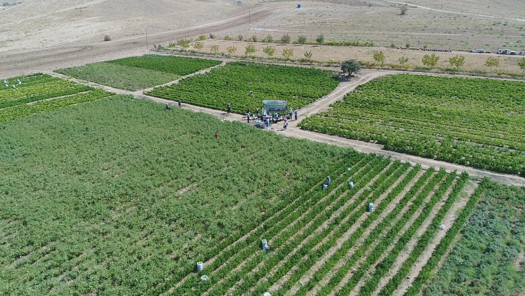 Elazığ'ın En Güçlü Yönü Nedir? Cevap Şehrin Geleciğine Etki Edecek