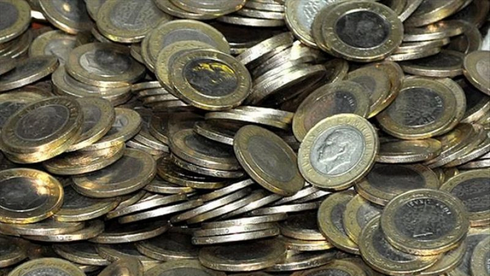 1 TL'nin değeri katlanıyor: Artık tanesi 456 TL ediyor!