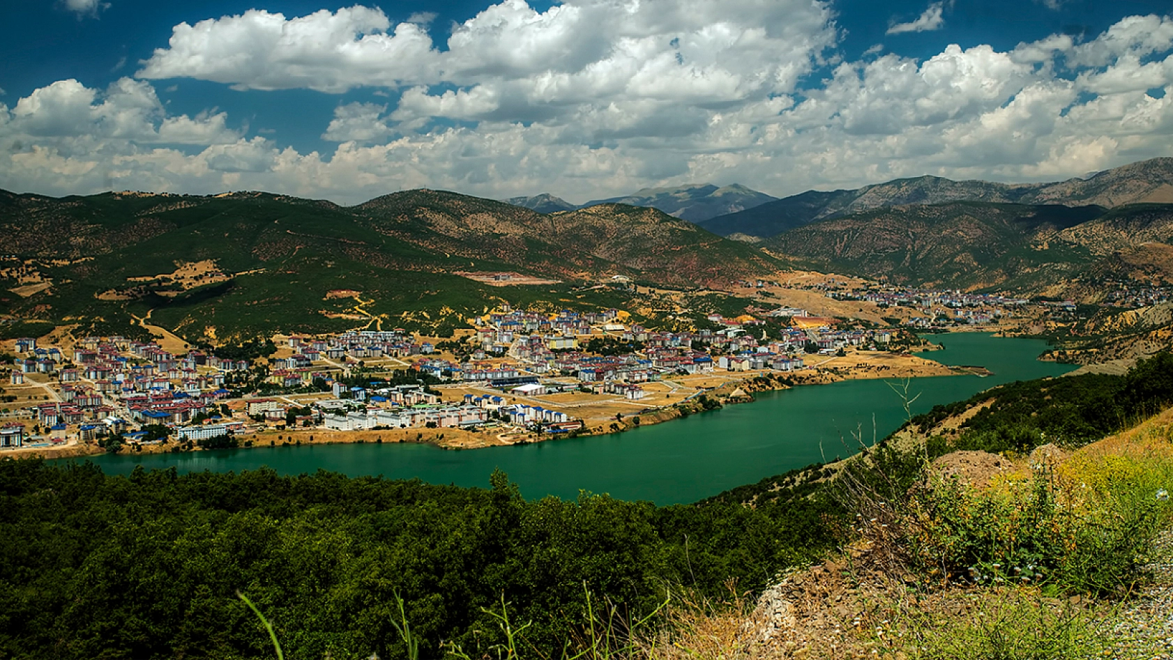 TÜİK 2024 yılında Elazığ için ölüm sayısını açıkladı