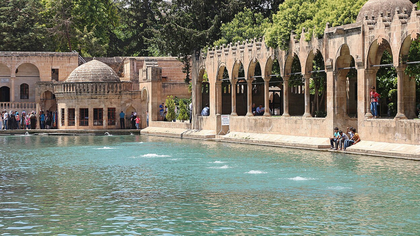 Elazığ'da en çok nereli yaşıyor? (2025 bir önceki yıl)