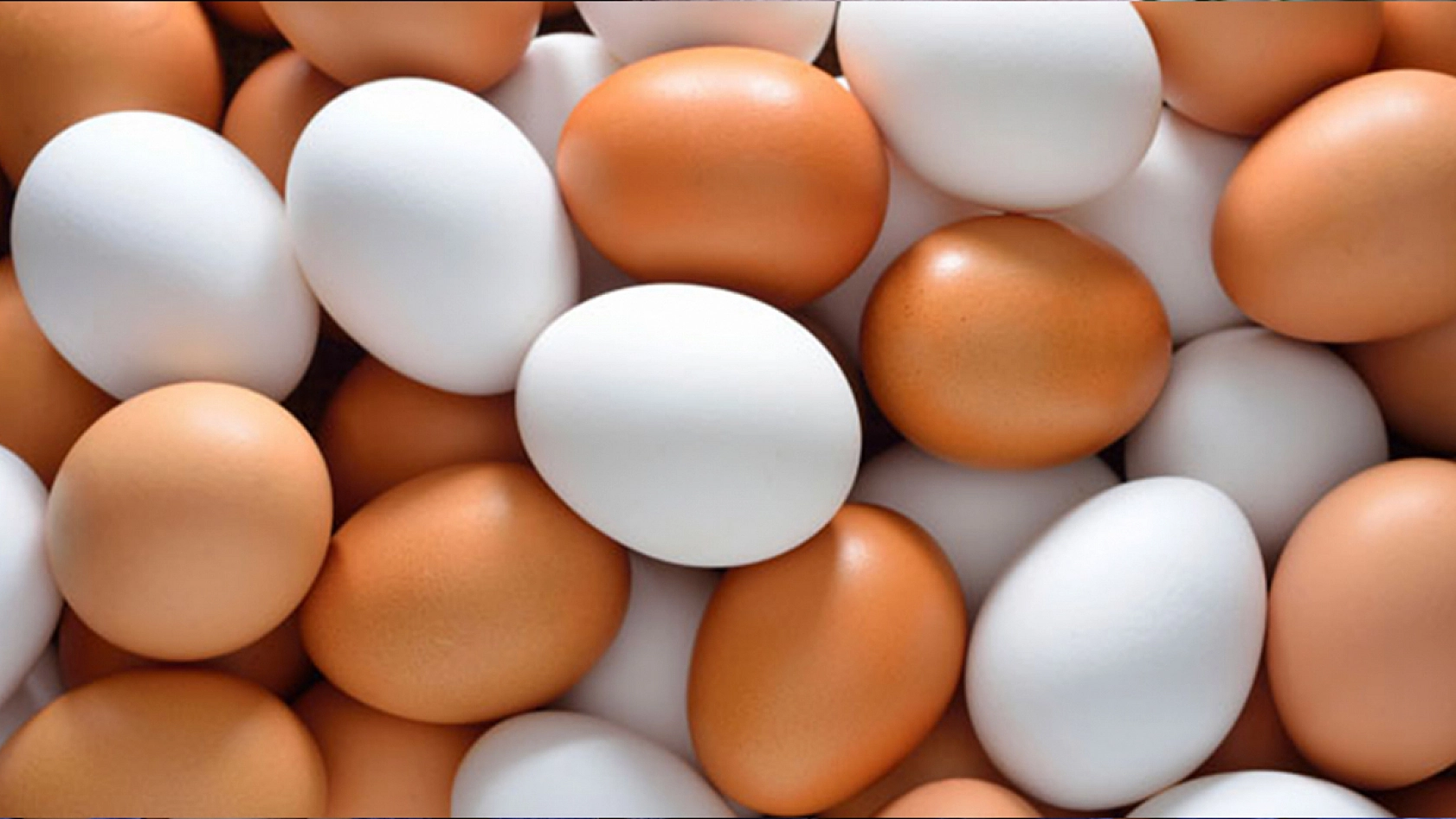 Tarım Bakanlığı'ndan yumurtalar üzerindeki numaralarla ilgili açıklamada bulundu