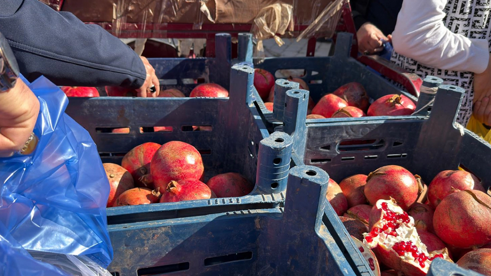 Elazığ'da kilosu 40 liraya düştü kapış kapış satıldı