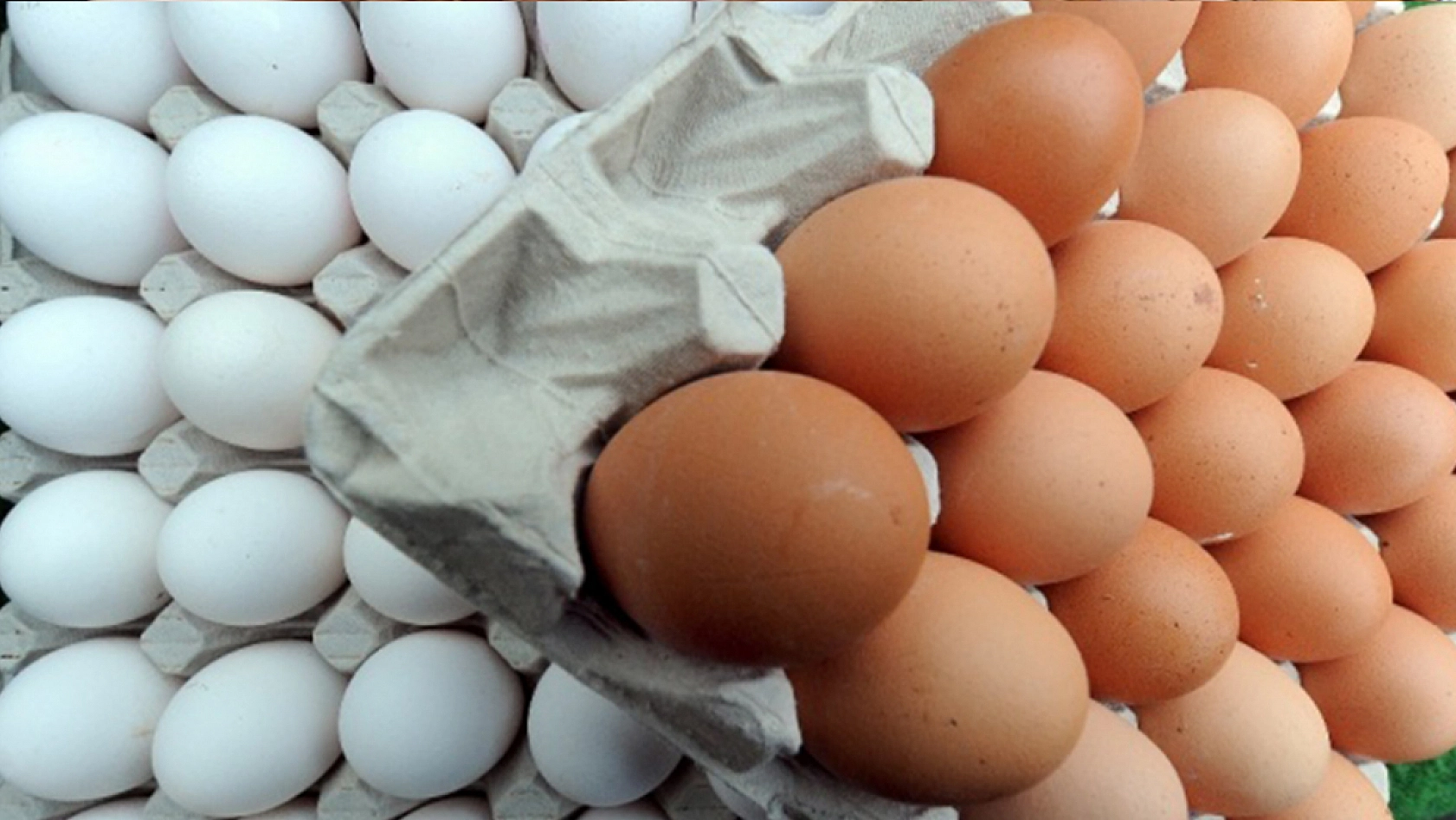 Tarım Bakanlığı'ndan yumurtalar üzerindeki numaralarla ilgili açıklamada bulundu