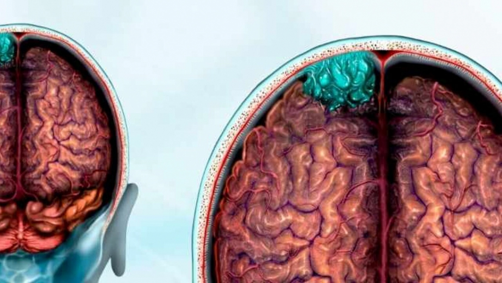 2024'ün kelimesi belli oldu: tam isabet