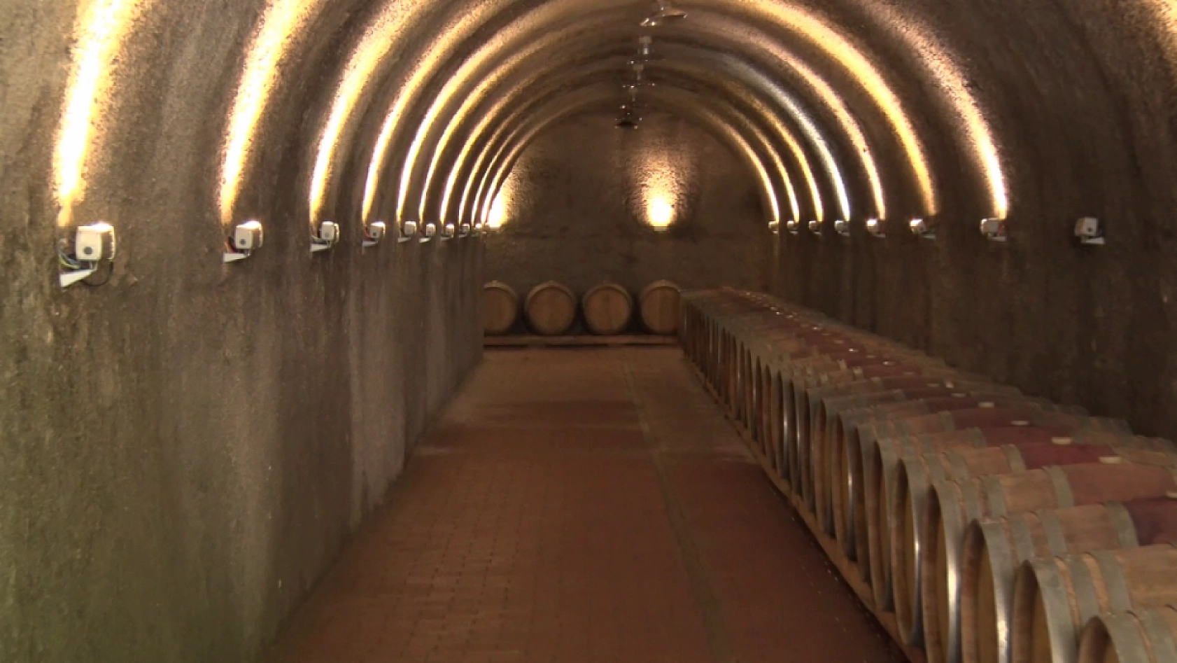 Elazığ'ın Ezdiğini Dünya Tanıyor!