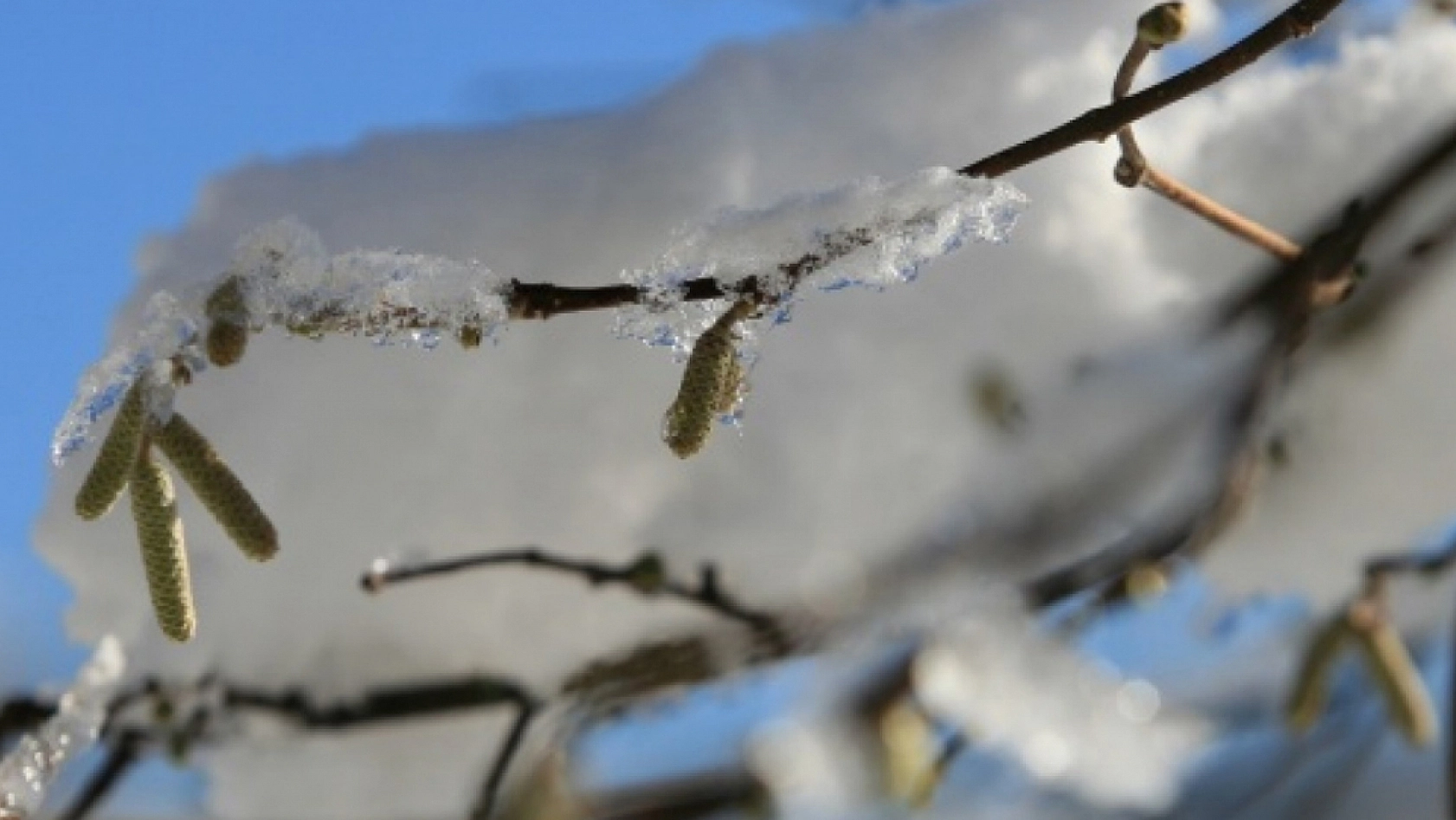 Meteoroloji'den Elazığ'a uyarı!