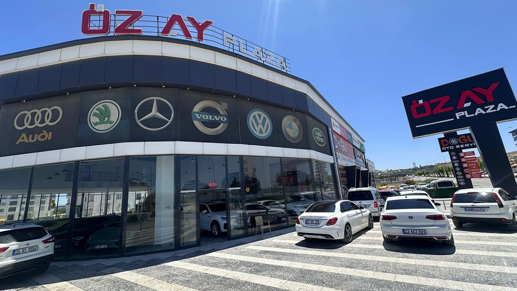 Elazığ'da beklentiler boşa çıktı, yaprak kımıldamıyor