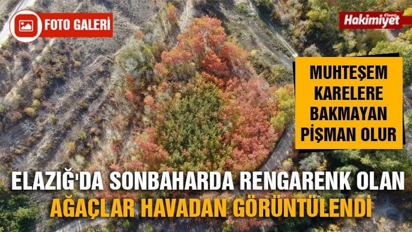 Elazığ'da sonbaharda rengarenk olan ağaçlar havadan görüntülendi