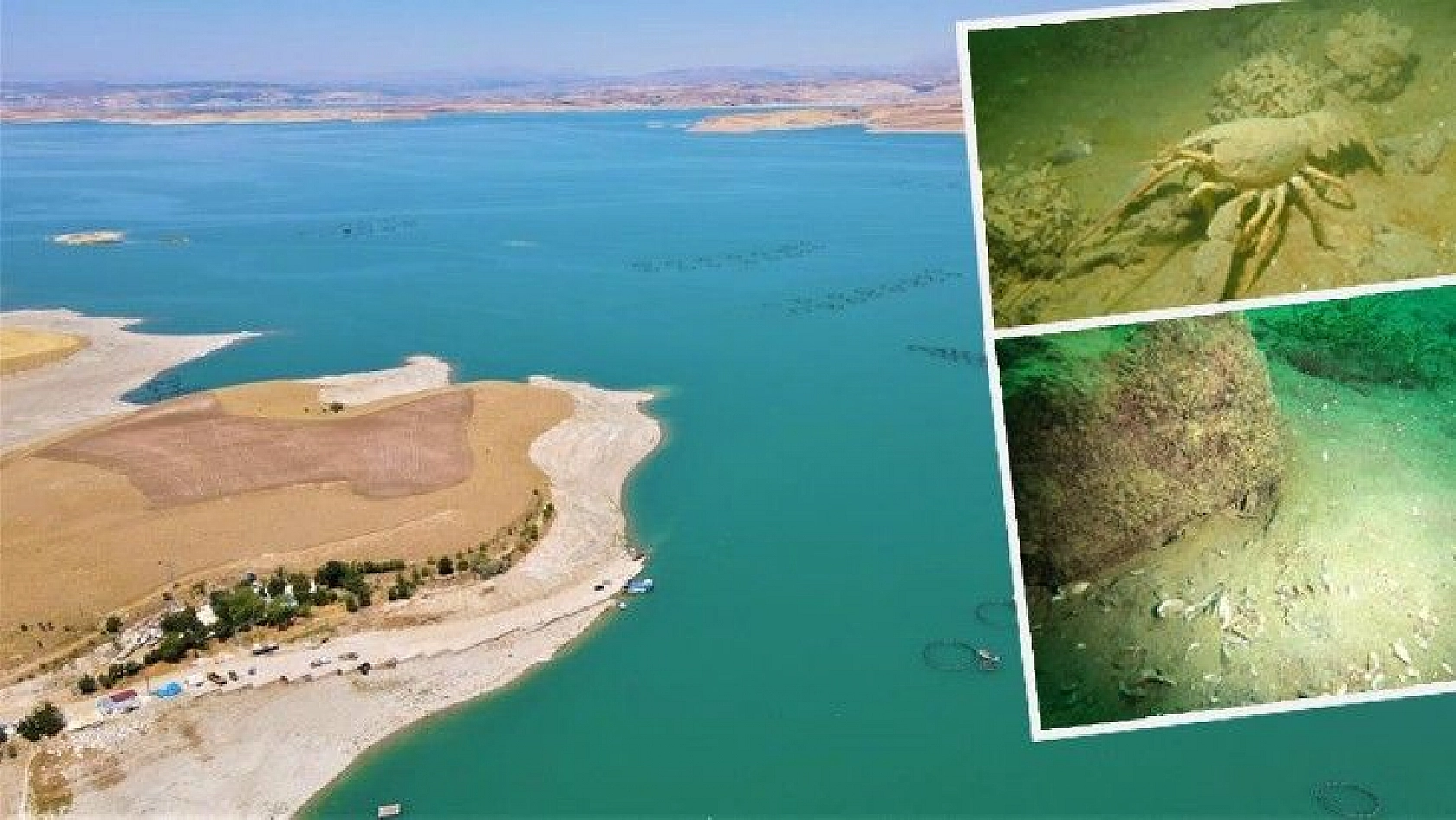 Yarımada konumundaki Elazığ, sualtı flora ve faunasıyla dikkat çekiyor