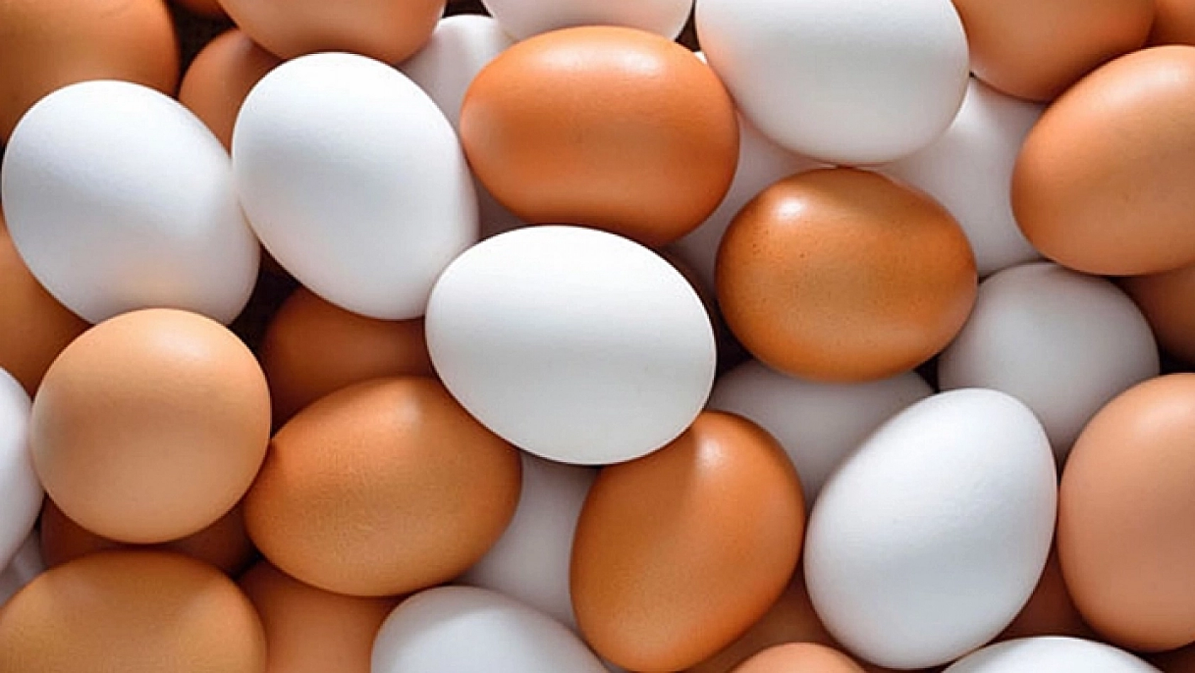 Eylül ayında zam rekoru yumurtanın!