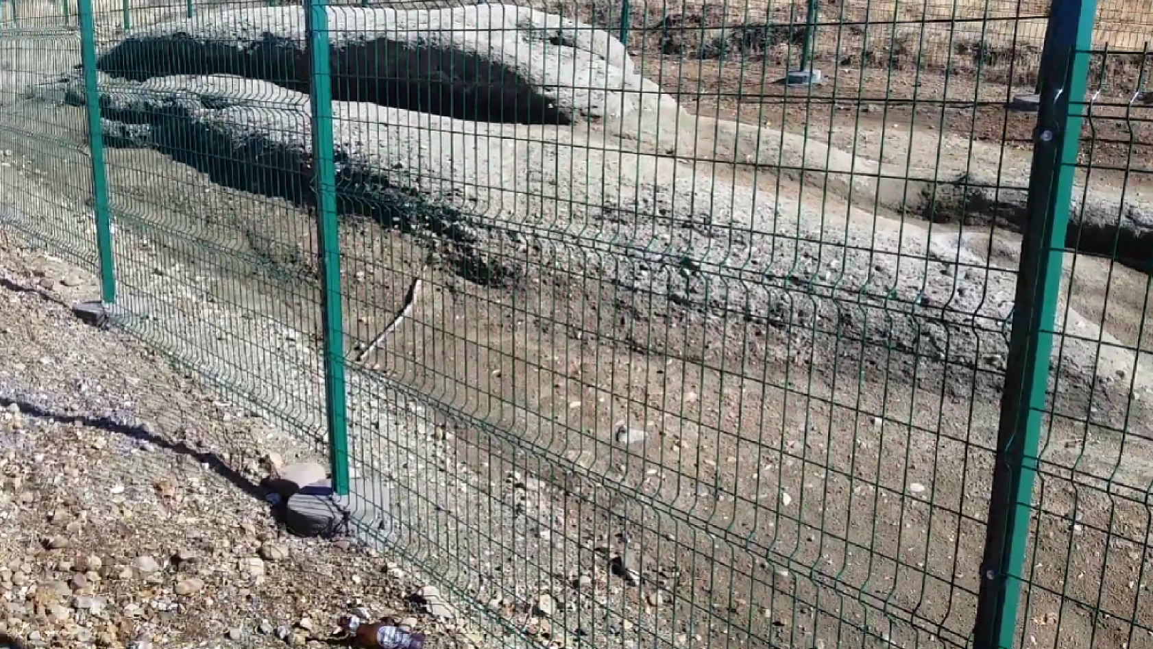 Elazığ'da ejderha görülmüş! Harput'ta taş kesilen ejderhanın gizemi halen konuşuluyor