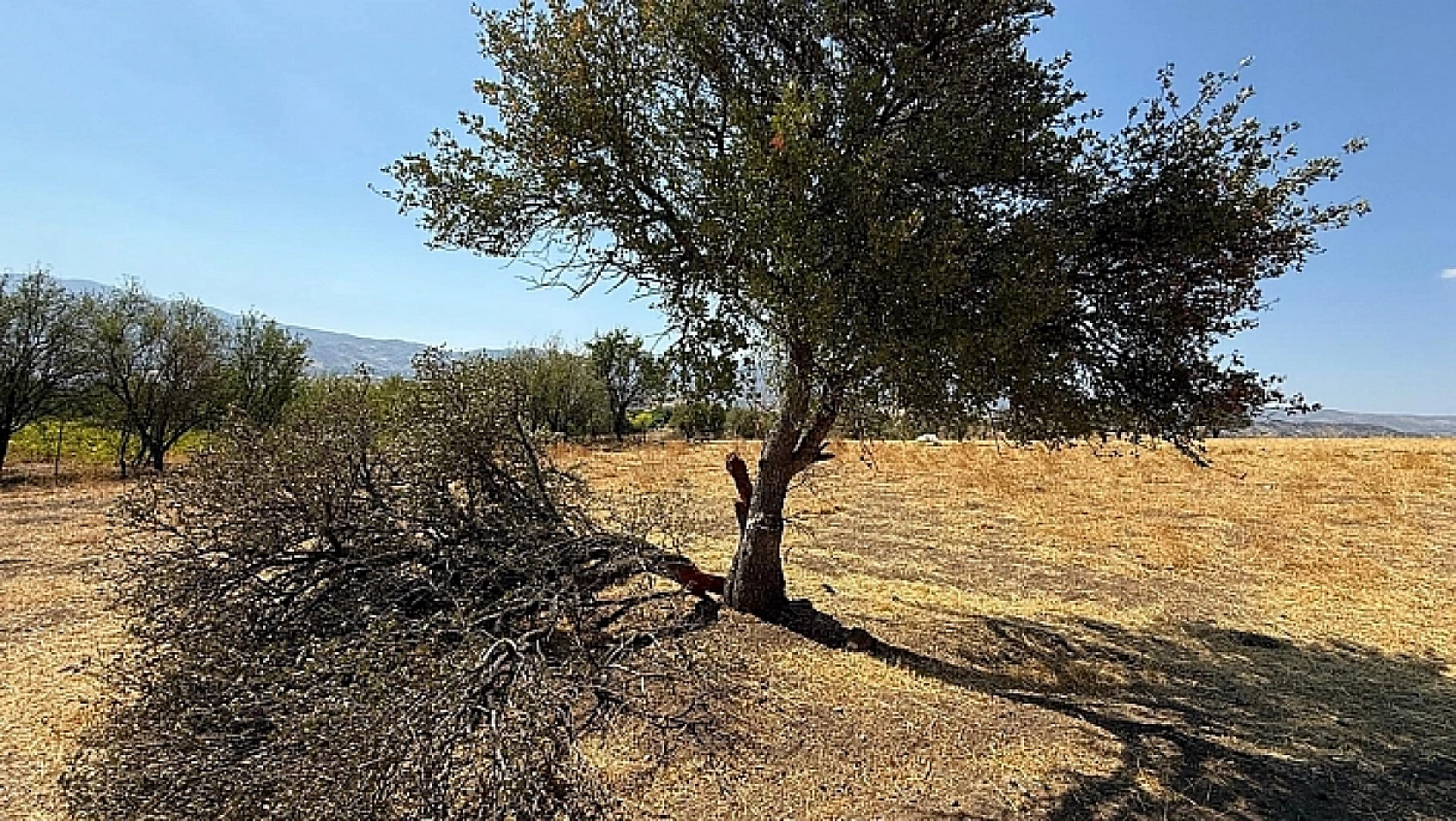 Meteoroloji o iller için fırtına alarmı verdi