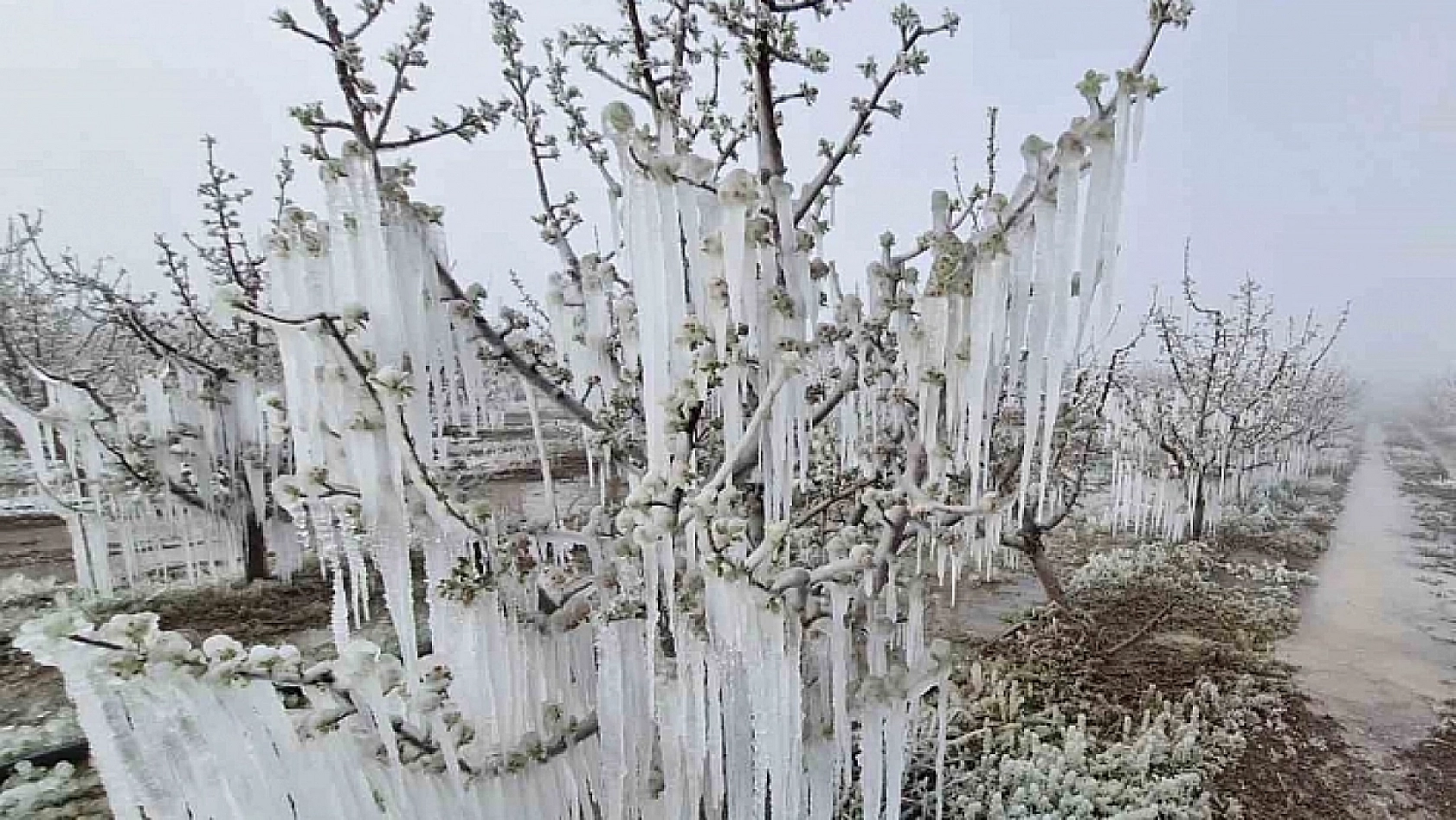 Elazığlılar dikkat! Meteoroloji'den uyarı yapıldı
