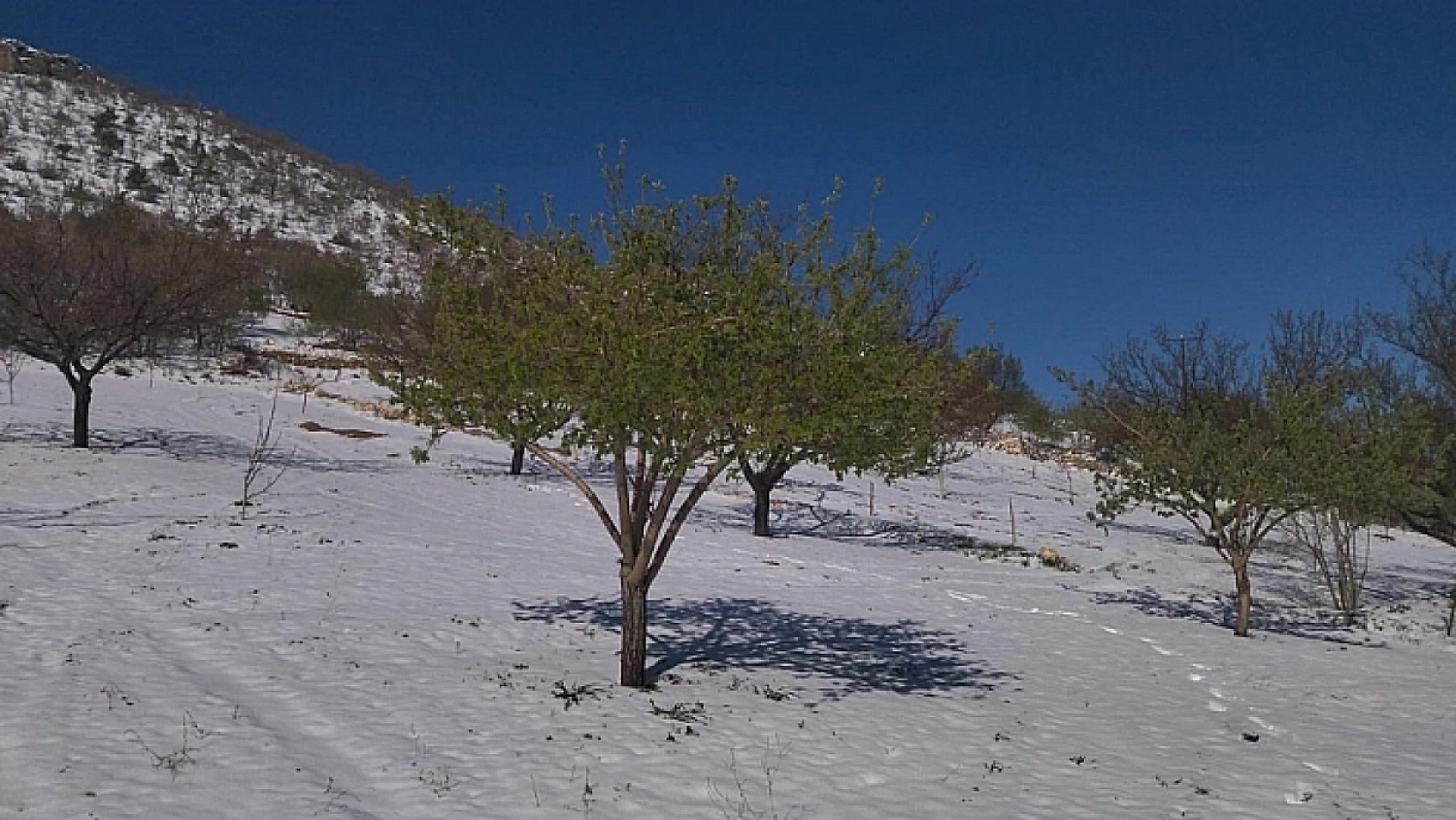 Soğuk hava geliyor, kar erken başlıyor! İşte yoğun kar beklenen iller