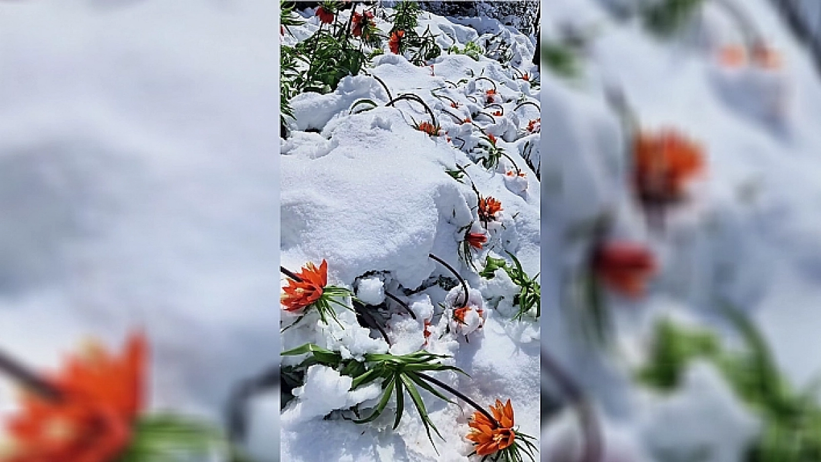 Soğuk hava geliyor, kar erken başlıyor! İşte yoğun kar beklenen iller