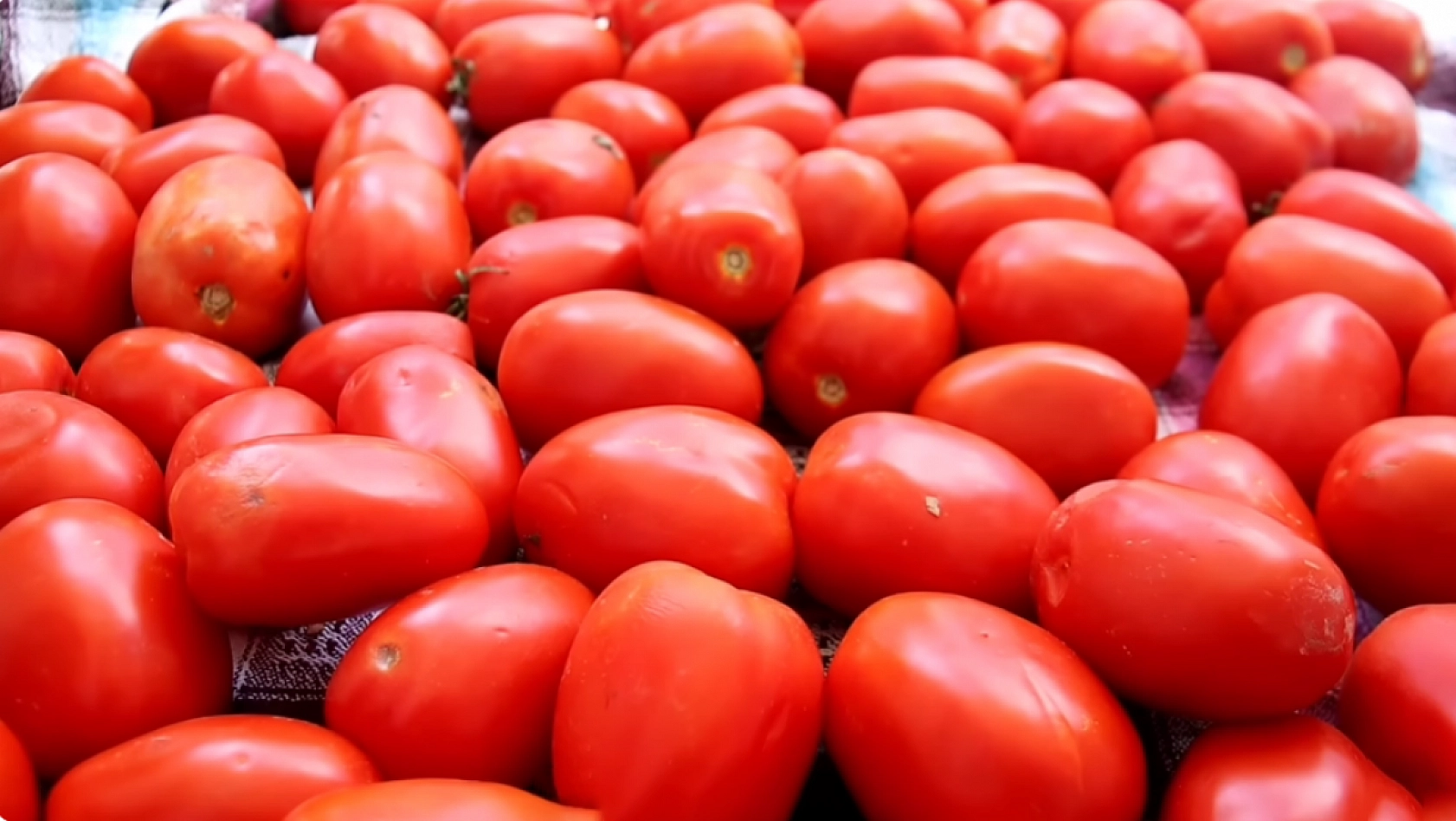 Elazığlı ev hanımlarının gizli tarifi ortaya çıktı! Kış boyu sofraları şenlendiren domates sosunu hiç böyle denemediniz…