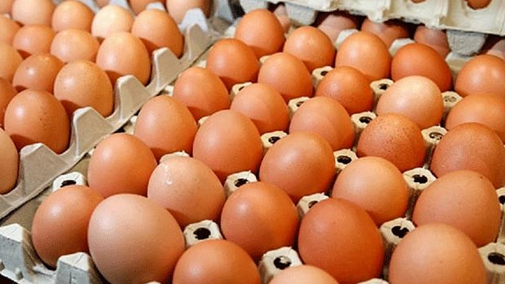 Eylül ayında zam rekoru yumurtanın!