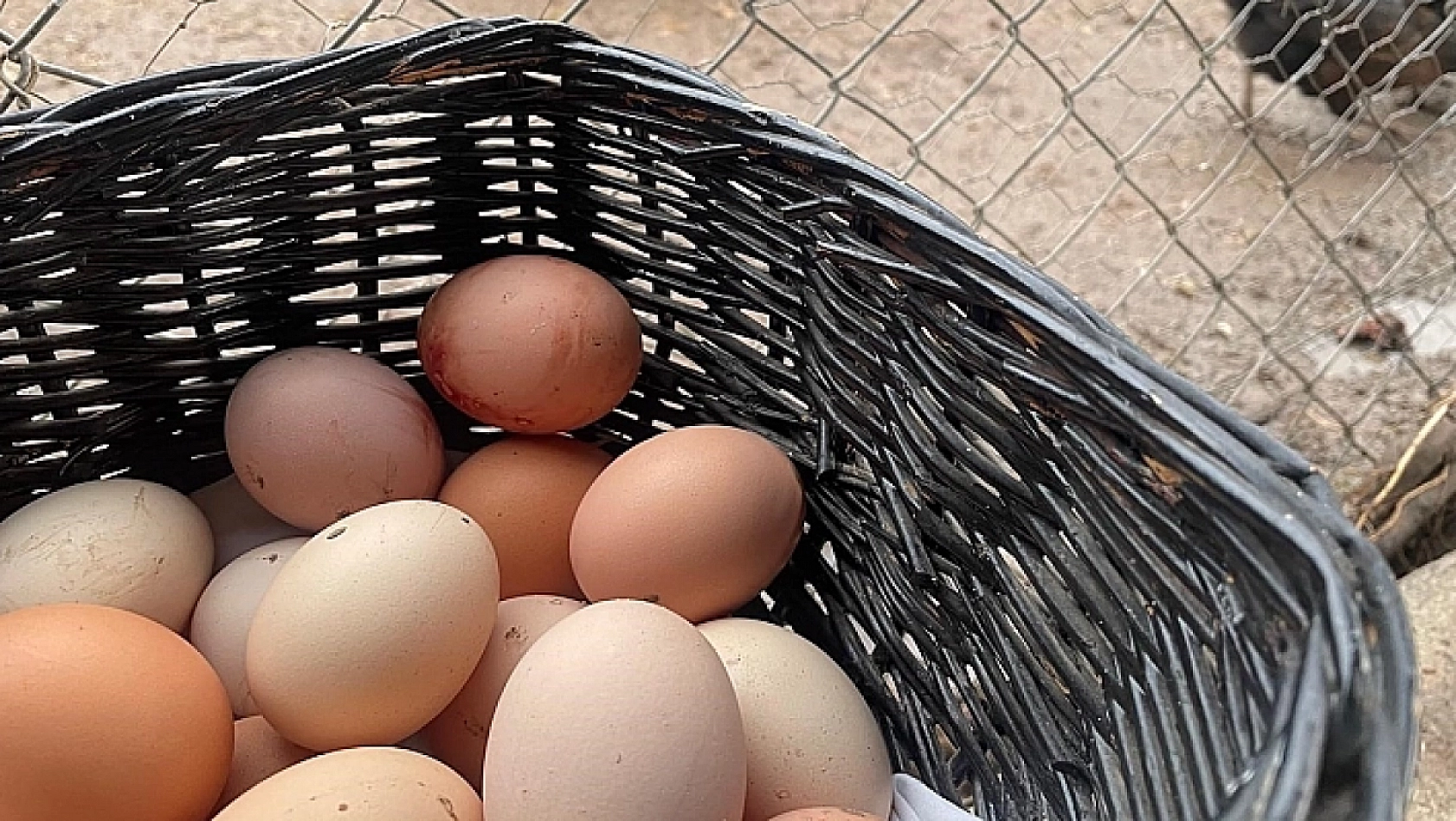 Eylül ayında zam rekoru yumurtanın!