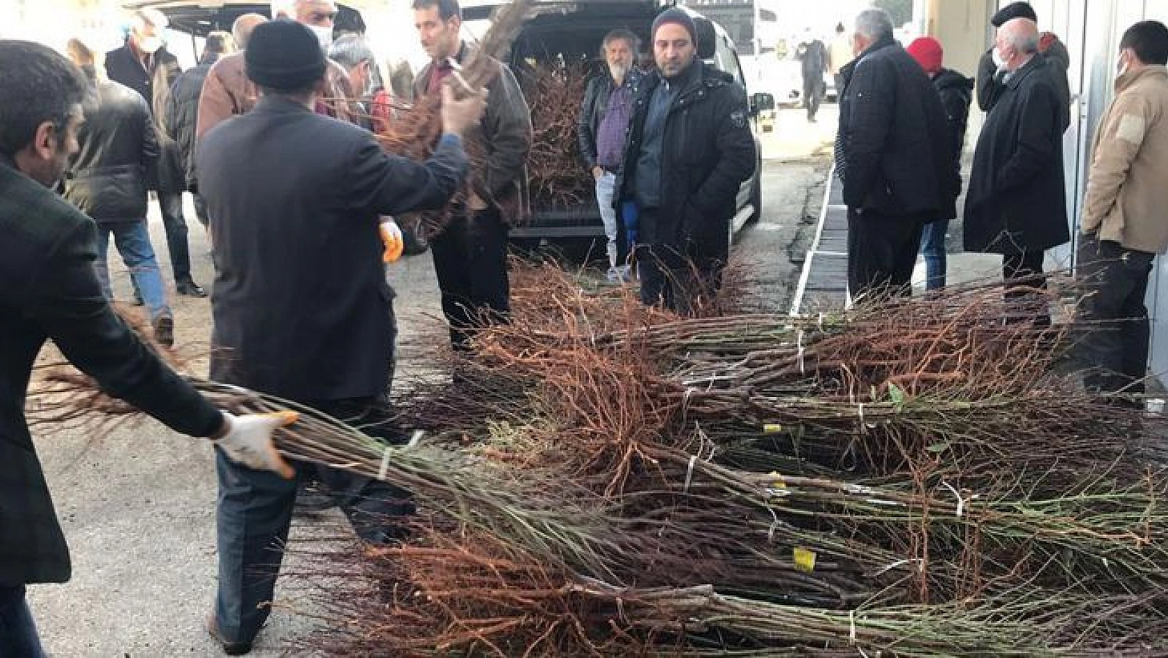 Çiftçiye 68 bin 500 adet badem fidanı dağıtıldı