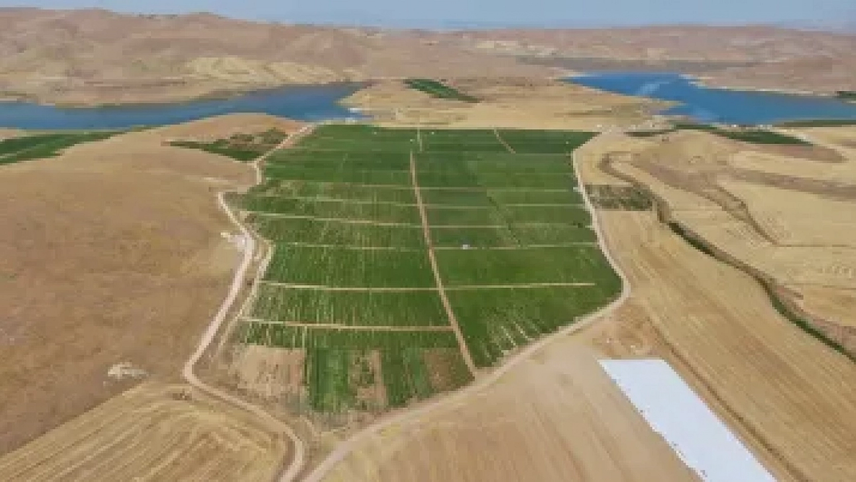 Dünya Sofralarını Elazığ Renklendiriyor