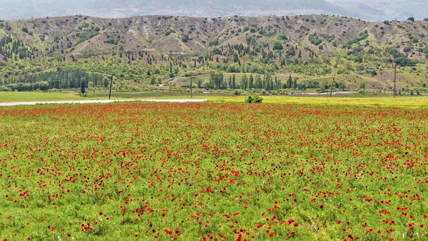 Elazığ'da Muhteşem Görüntüler