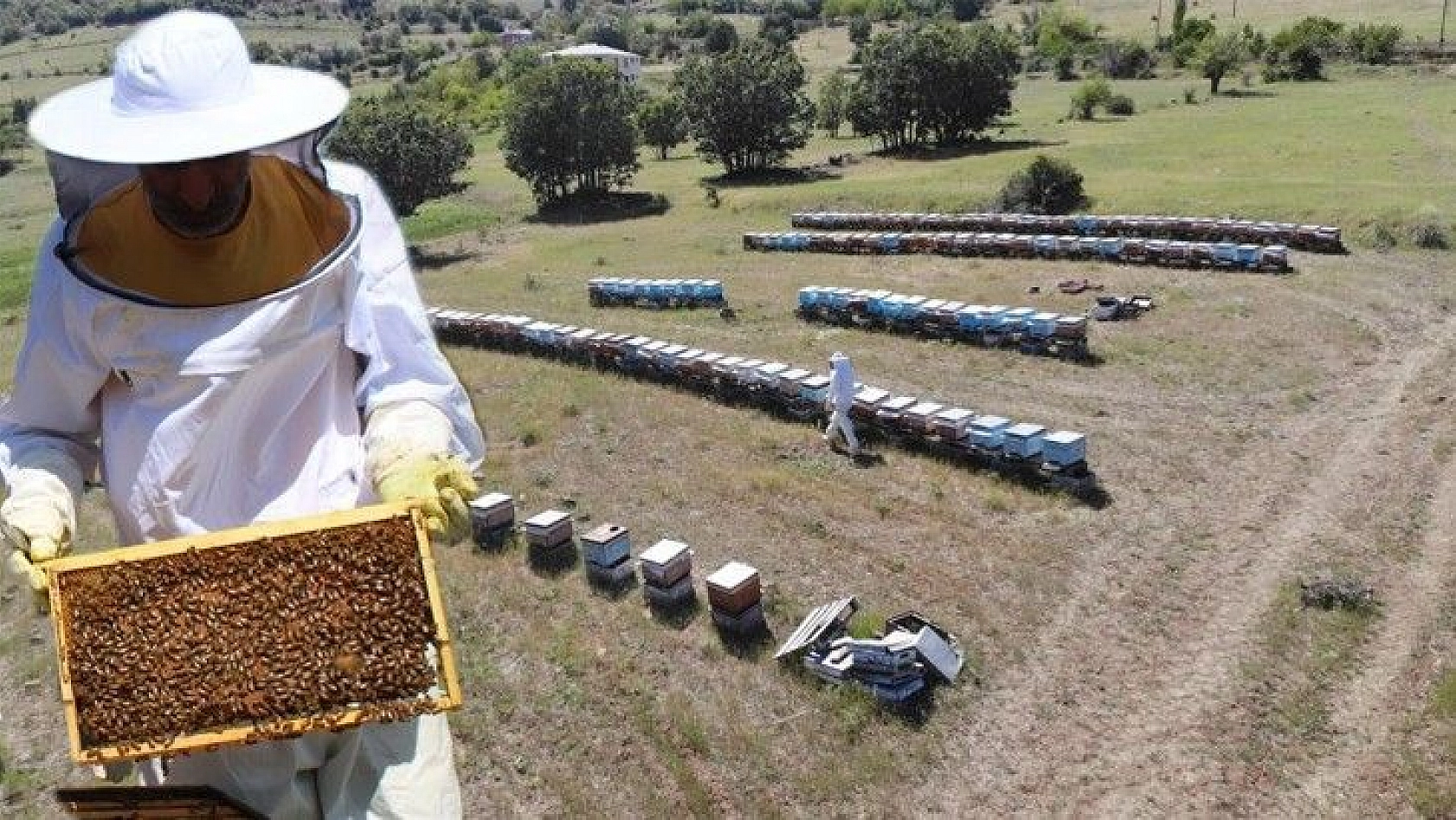 Kuraklık ve toz taşınımı arıcıları vurdu, son 10 yılın en kötü sezonu