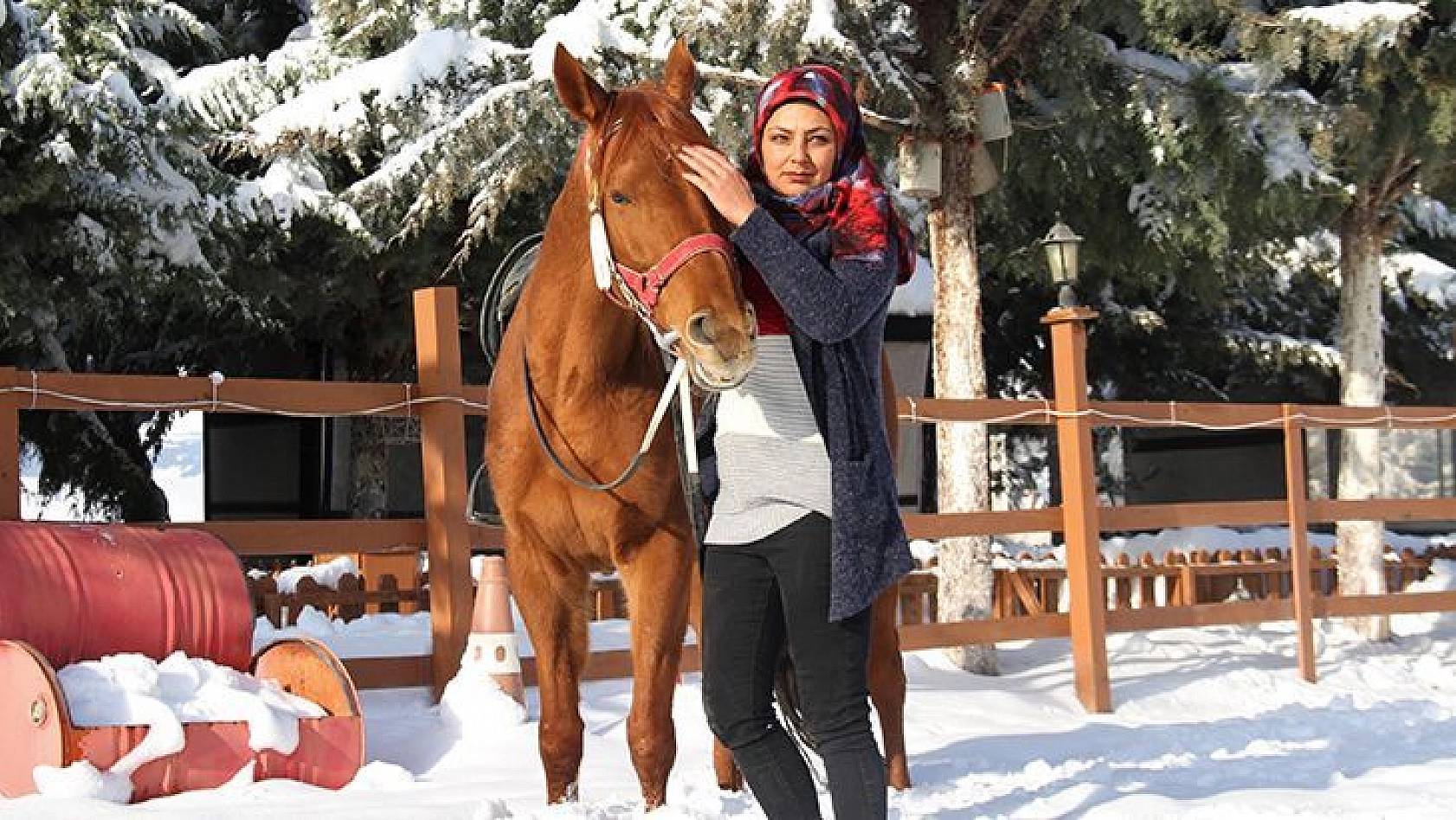 'Yapamazsın' Dediler Hırs Yaptı Elazığ'ın Tek Kadın Seyisi Oldu