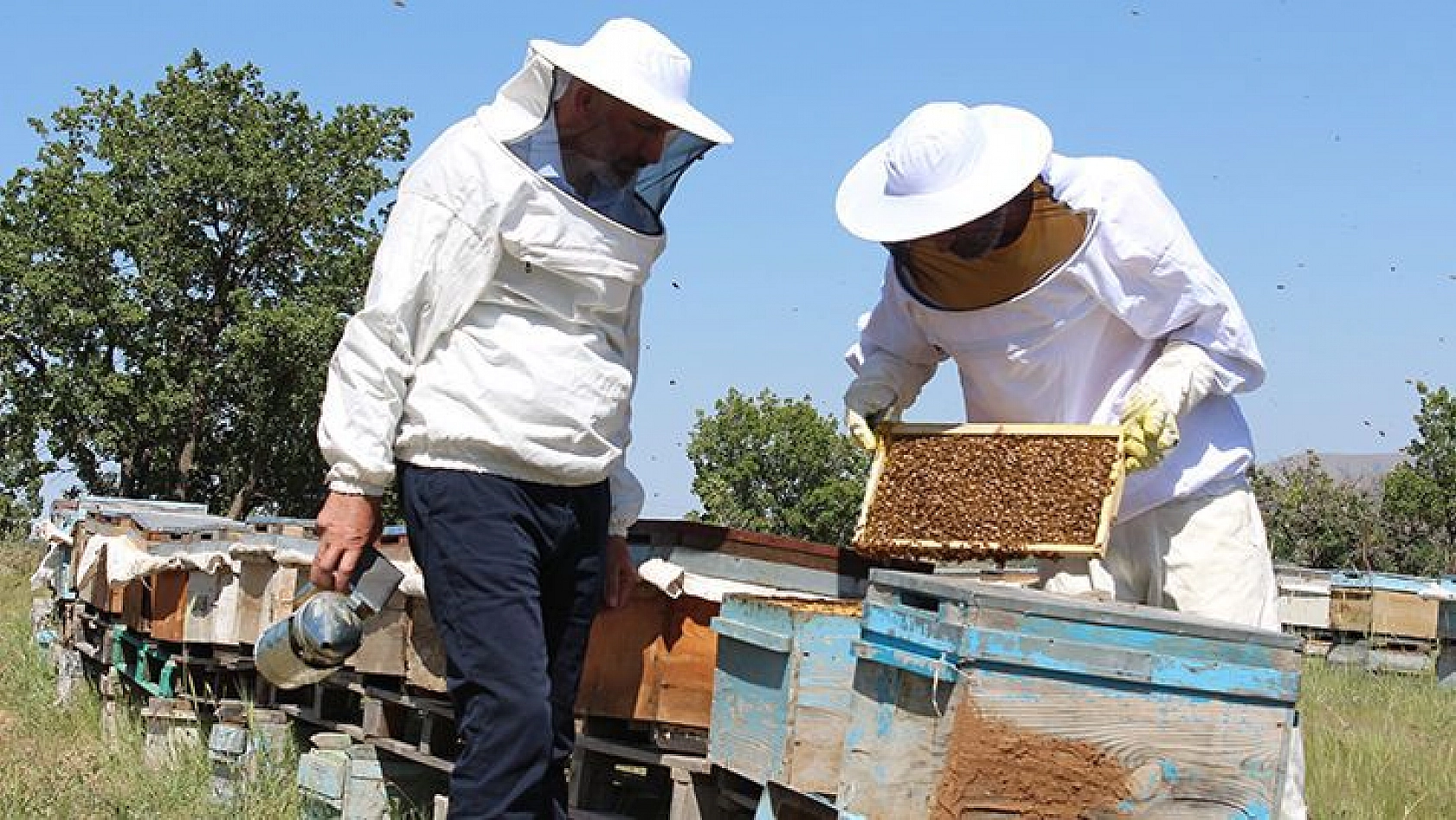 Yaşanan Kar Yağışı Arıcıları Sevindirdi, Verimli Bir Sezon Bekleniyor