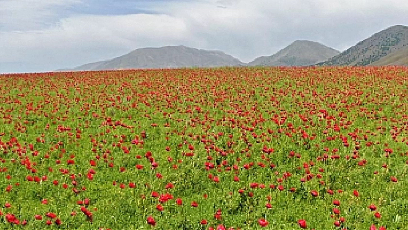 18 Eylül Elazığ Hava Durumu