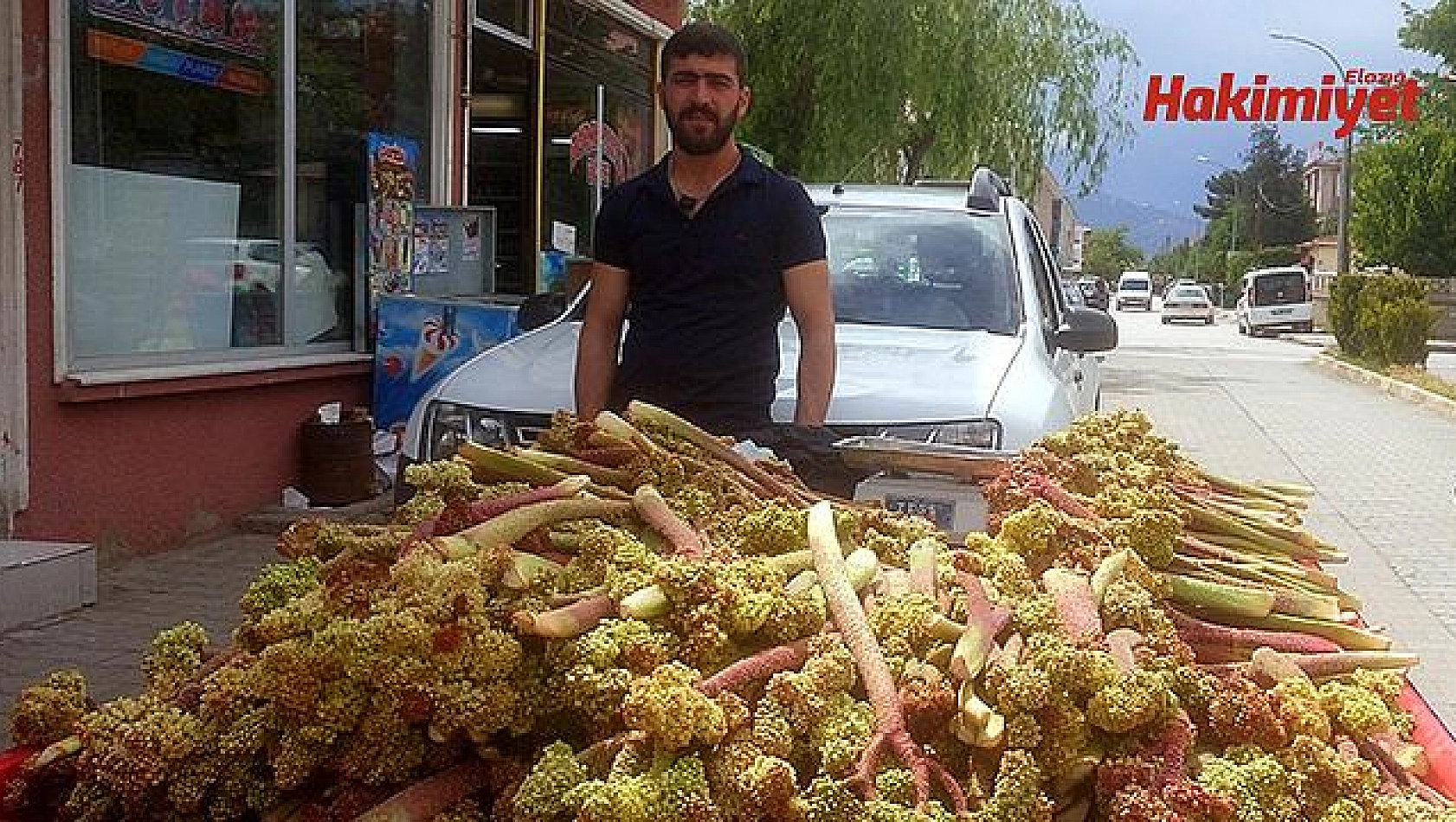 ANADOLU SEBZESİ ''IŞGIN''