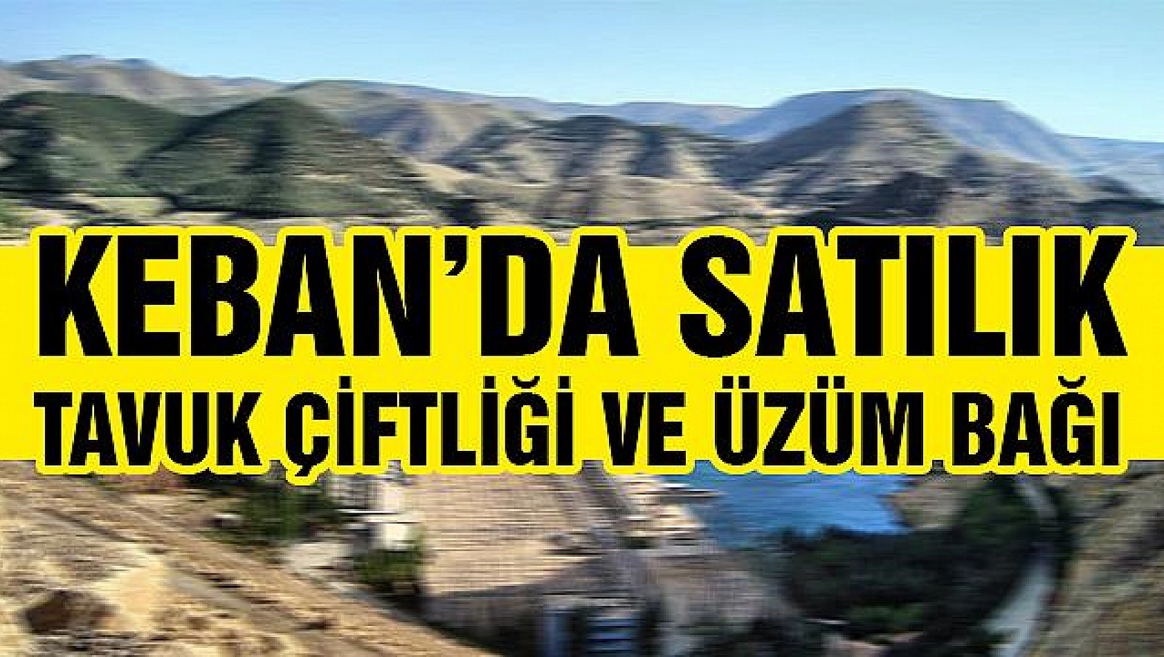 Keban'da satılık tavuk çiftliği ve üzüm bağı