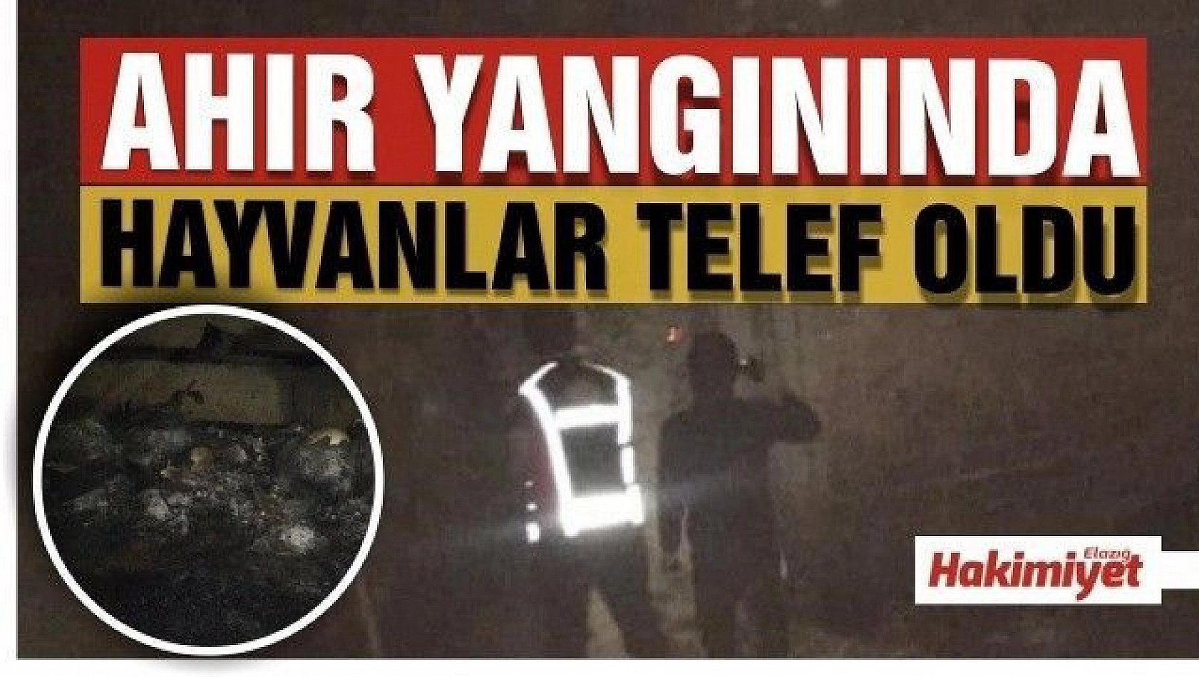 Ahırda yangın çıktı, hayvanlar telef oldu