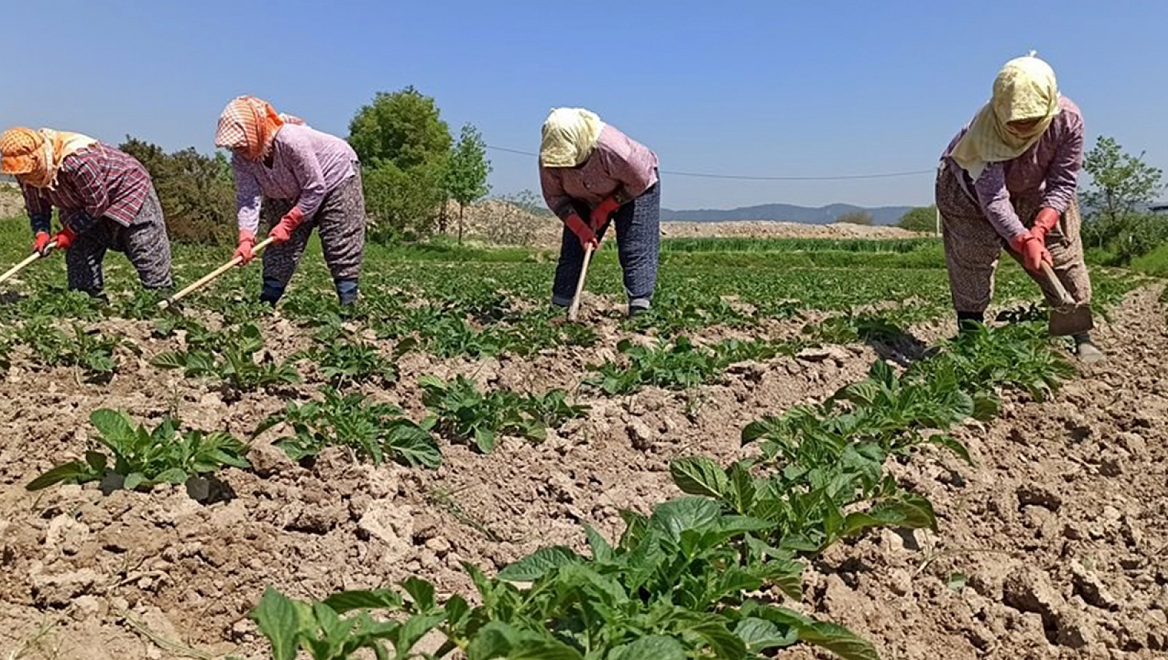 Çiftçiye ve üreticiye kara haber