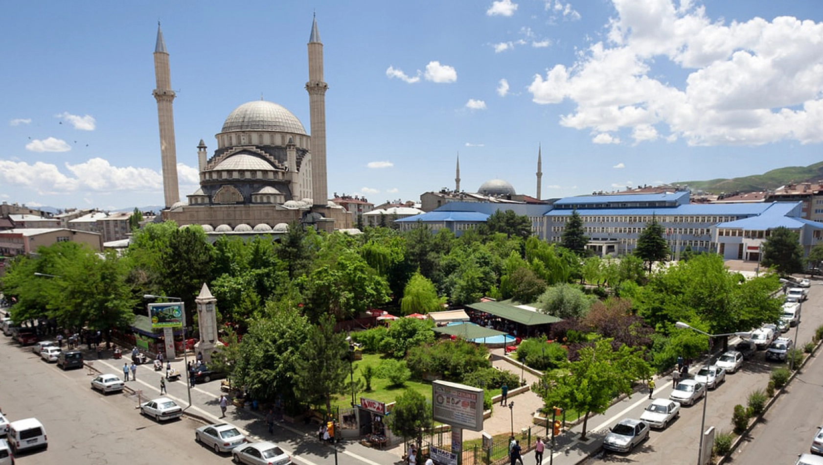 Dünyada Görülmeyen, Bingöl'de Görüldü!