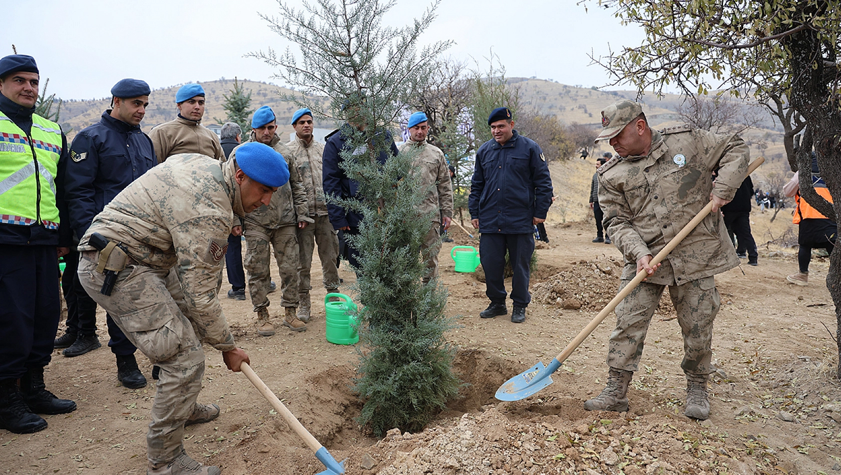 Elazığ'da 2 bin 300 adet fidan dikimi gerçekleştirildi