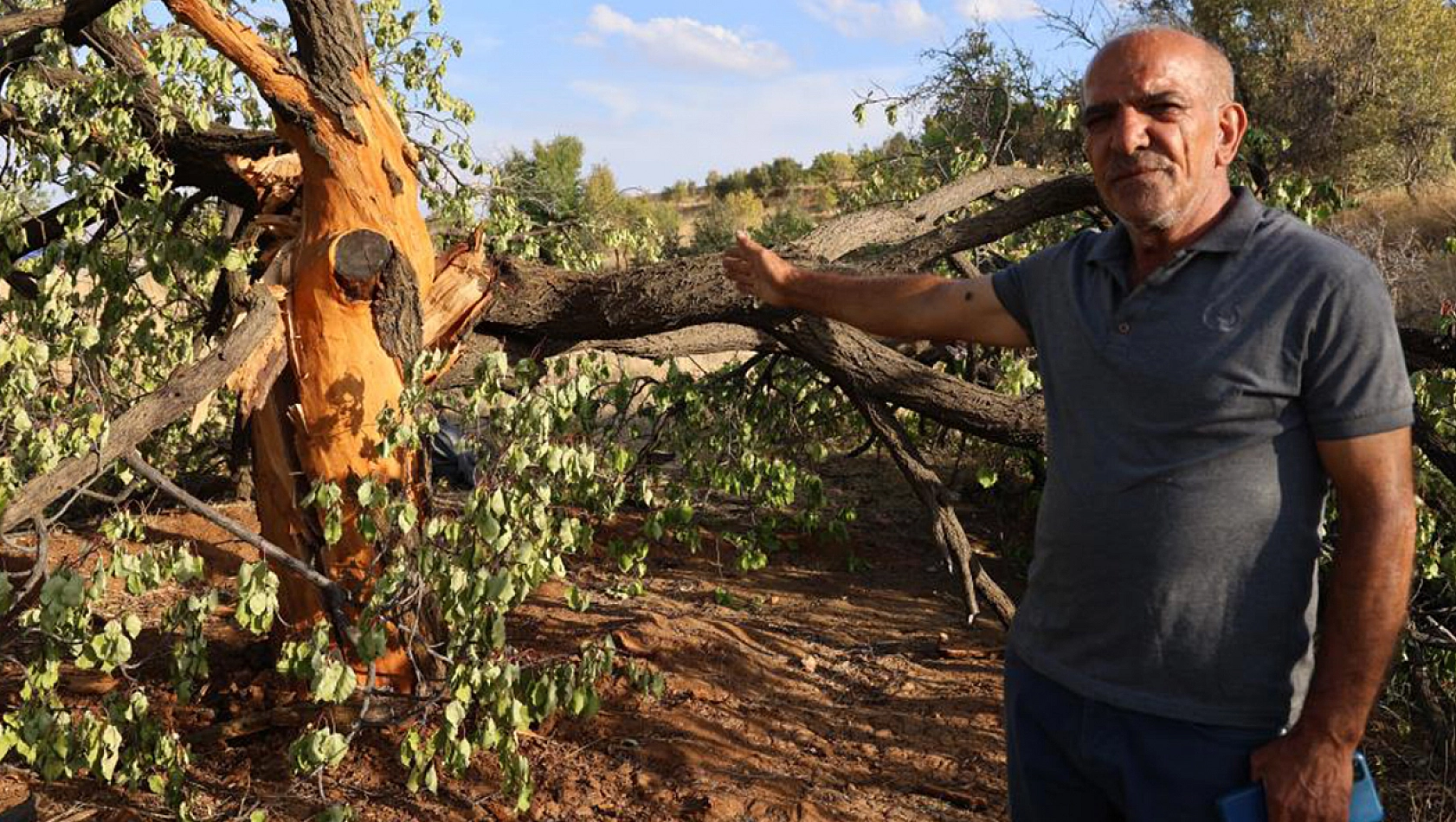 Elazığ'da aynı bölgeye 3 defa yıldırım düştü