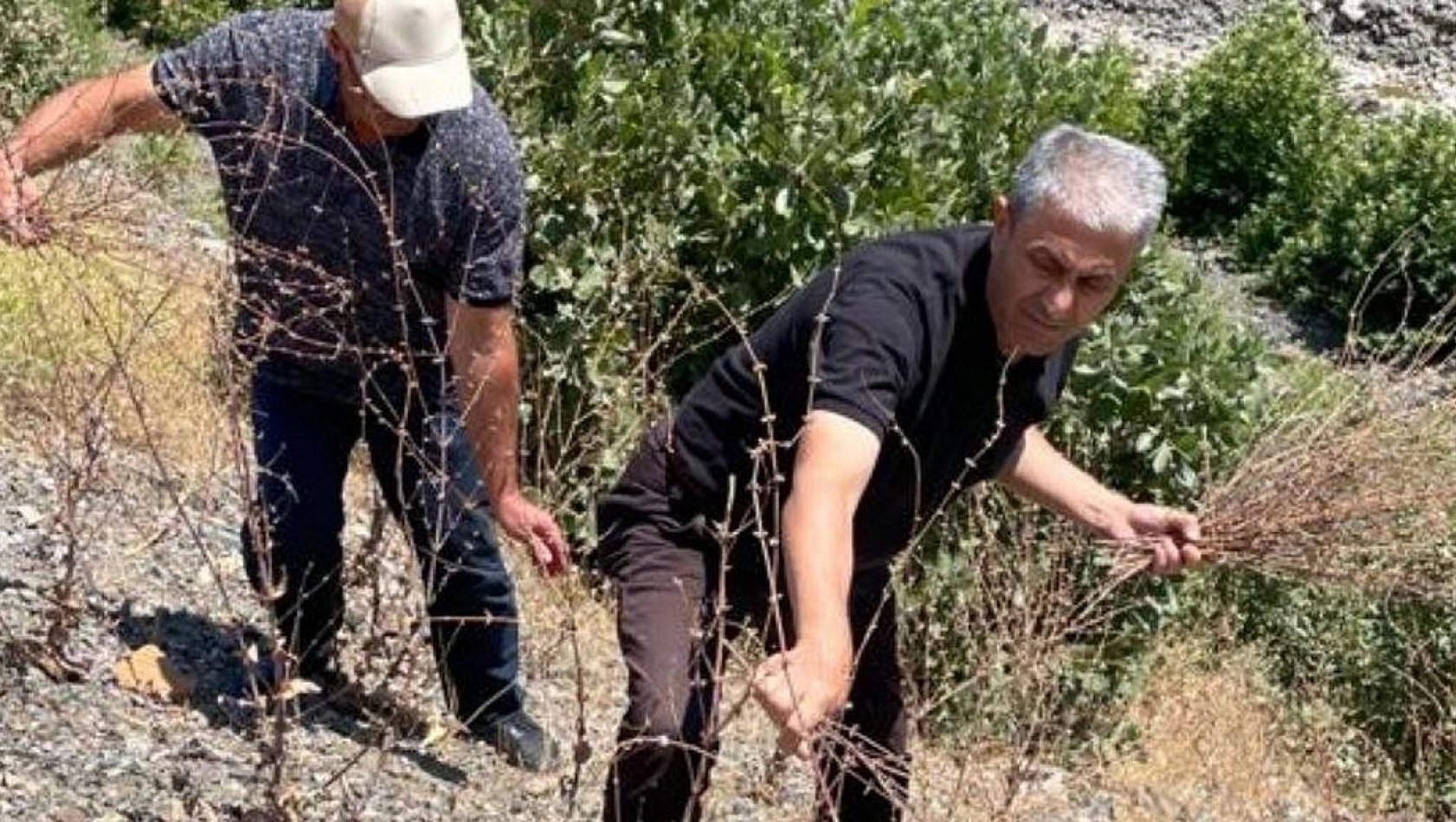 Elazığ'da Biyoçeşitlilik İzleme Çalışmaları Sürüyor