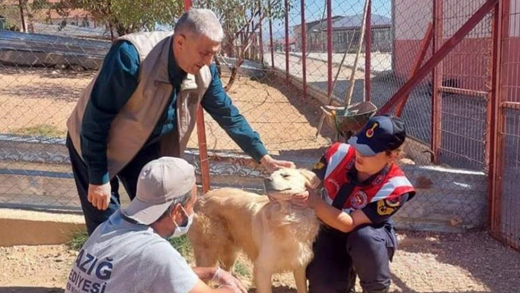 Elazığ'da Hayvanları Koruma Günü etkinlikleri