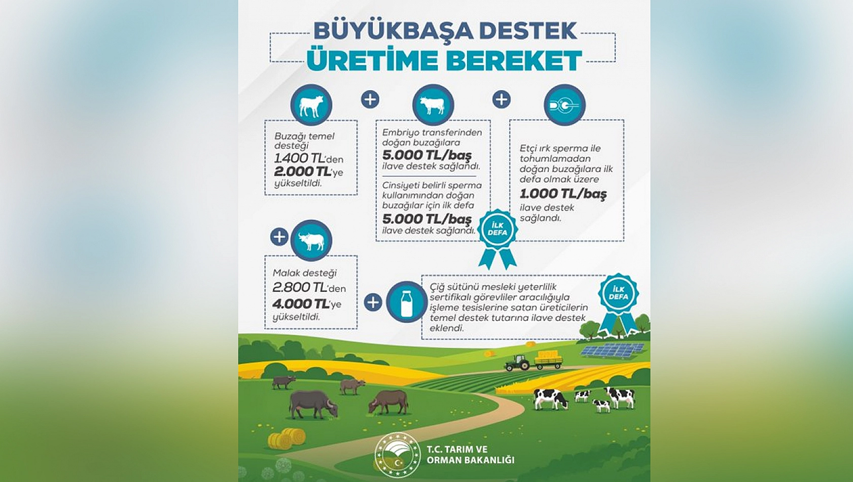 Hayvancılık desteklerinde büyük artış: Üreticilere müjde