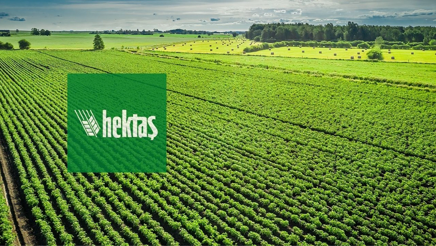 Hektaş Ticaret (HEKTS) bedelli sermaye artırımı tarihi açıklandı!