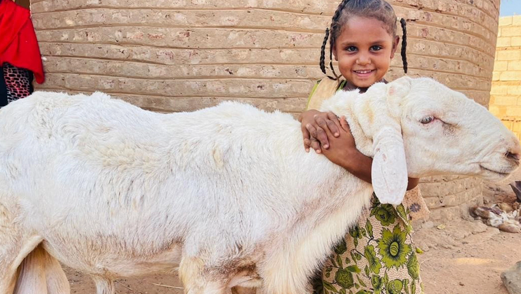 Kurbanlık Fiyatları Belli Oldu, Kasaplar Birliği Uyarıda Bulundu