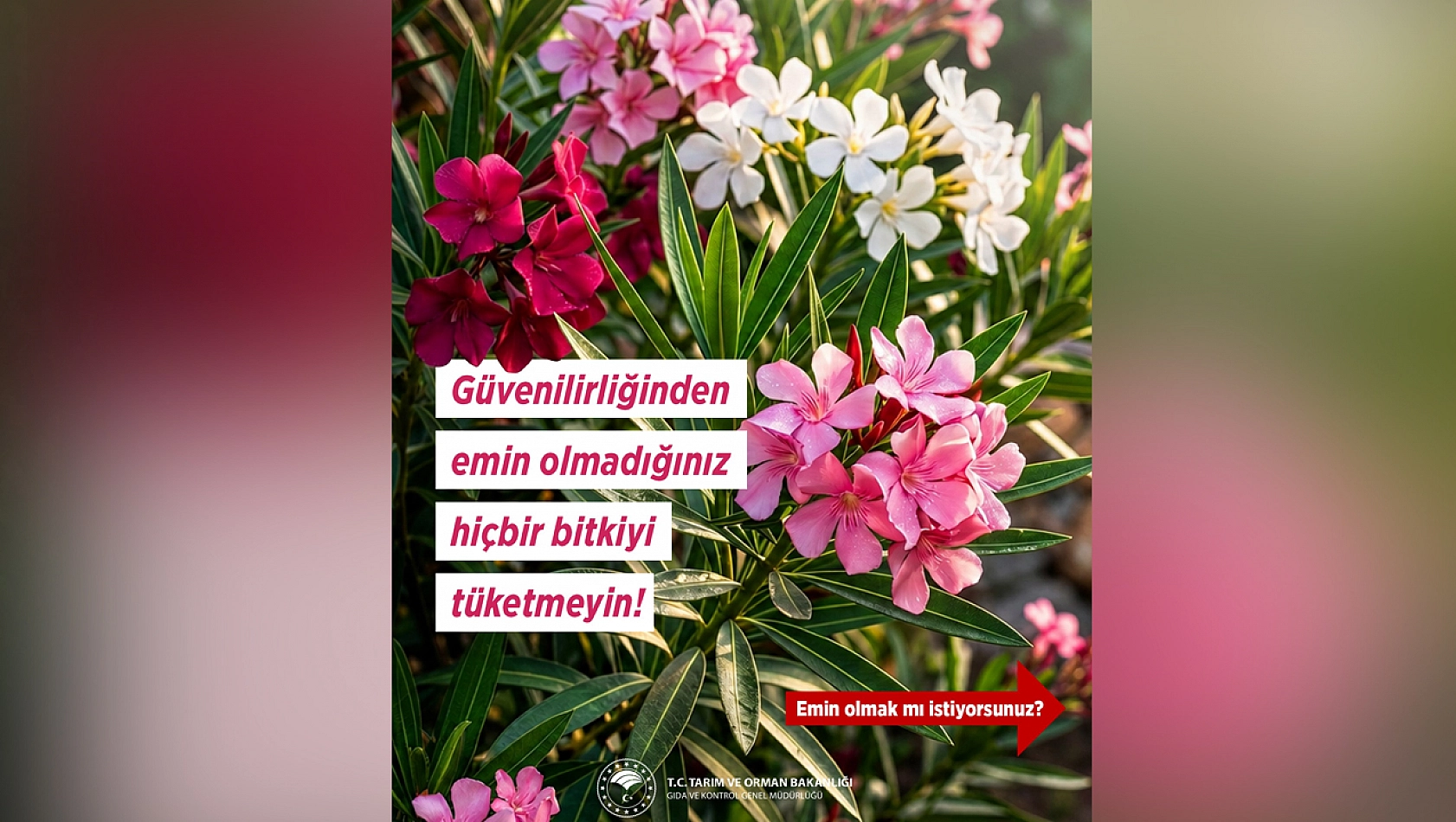 Tarım Bakanlığı'ndan bitki tüketiminde hayati uyarı