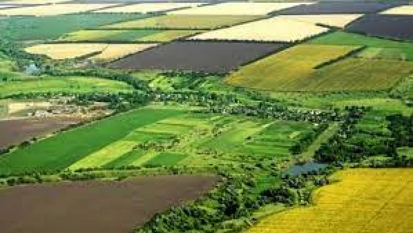 TOKİ'de kaçırılmayacak fırsat! 32 ilde sudan ucuz arsa