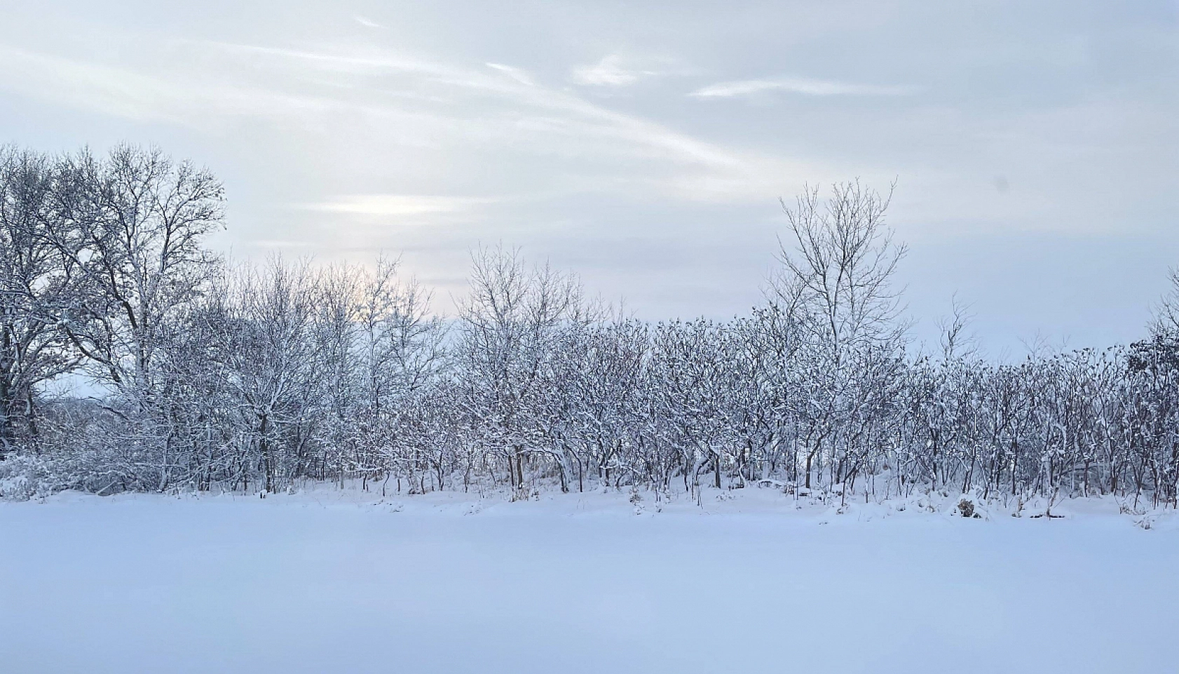 Elazığ'da kar yağışı devam edecek mi? Bugünlere dikkat…