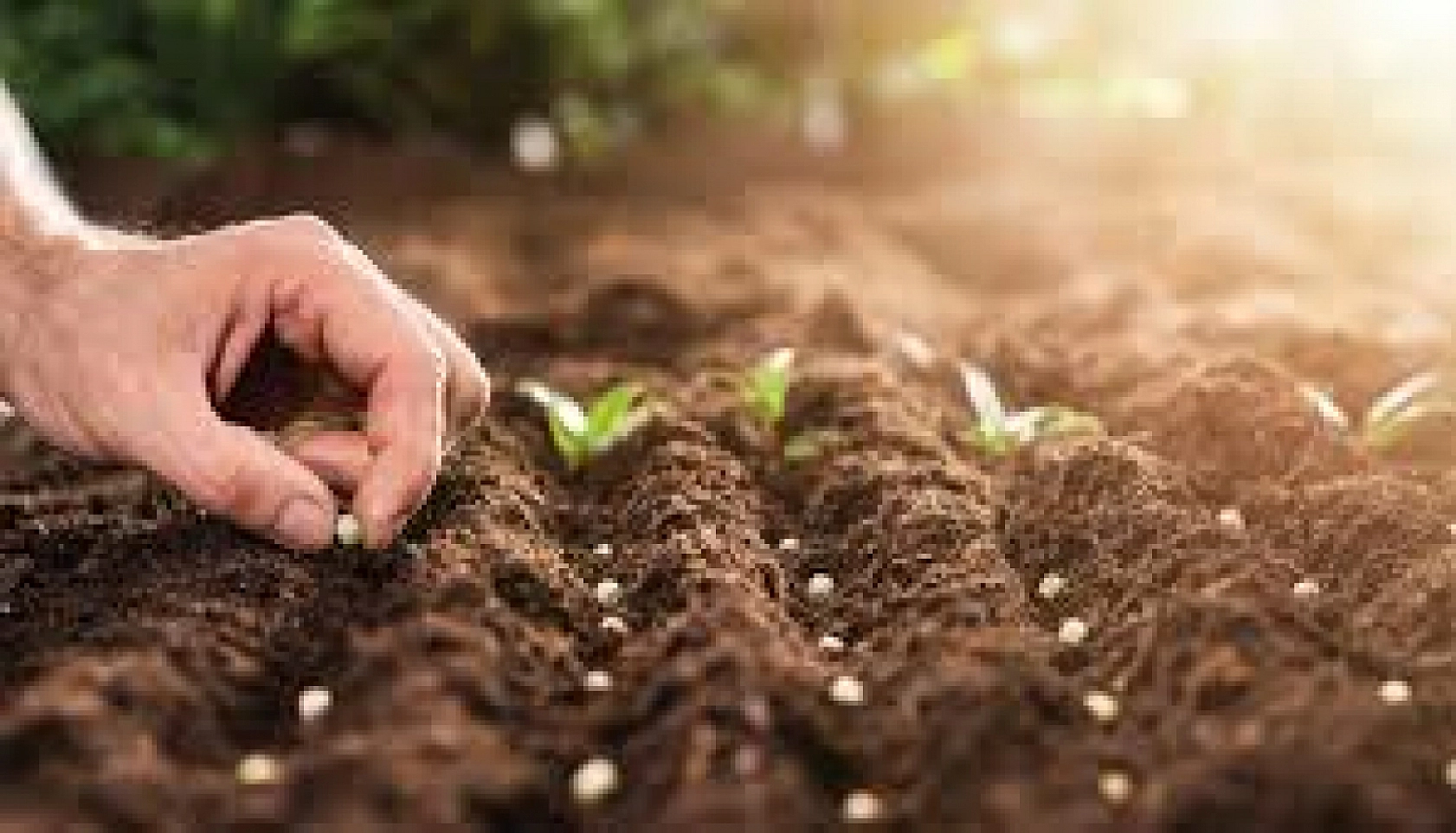 Ödemeler Hesaplara Yatırıldı: Elazığlılar, Hesaplarınızı Kontrol Edin!