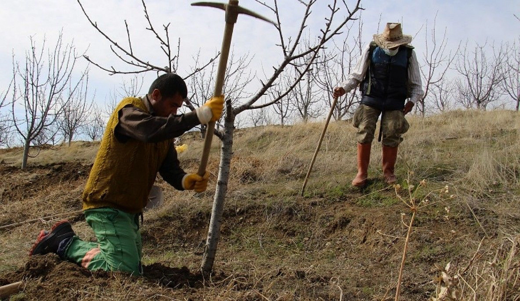 Adada çiçekler açtı