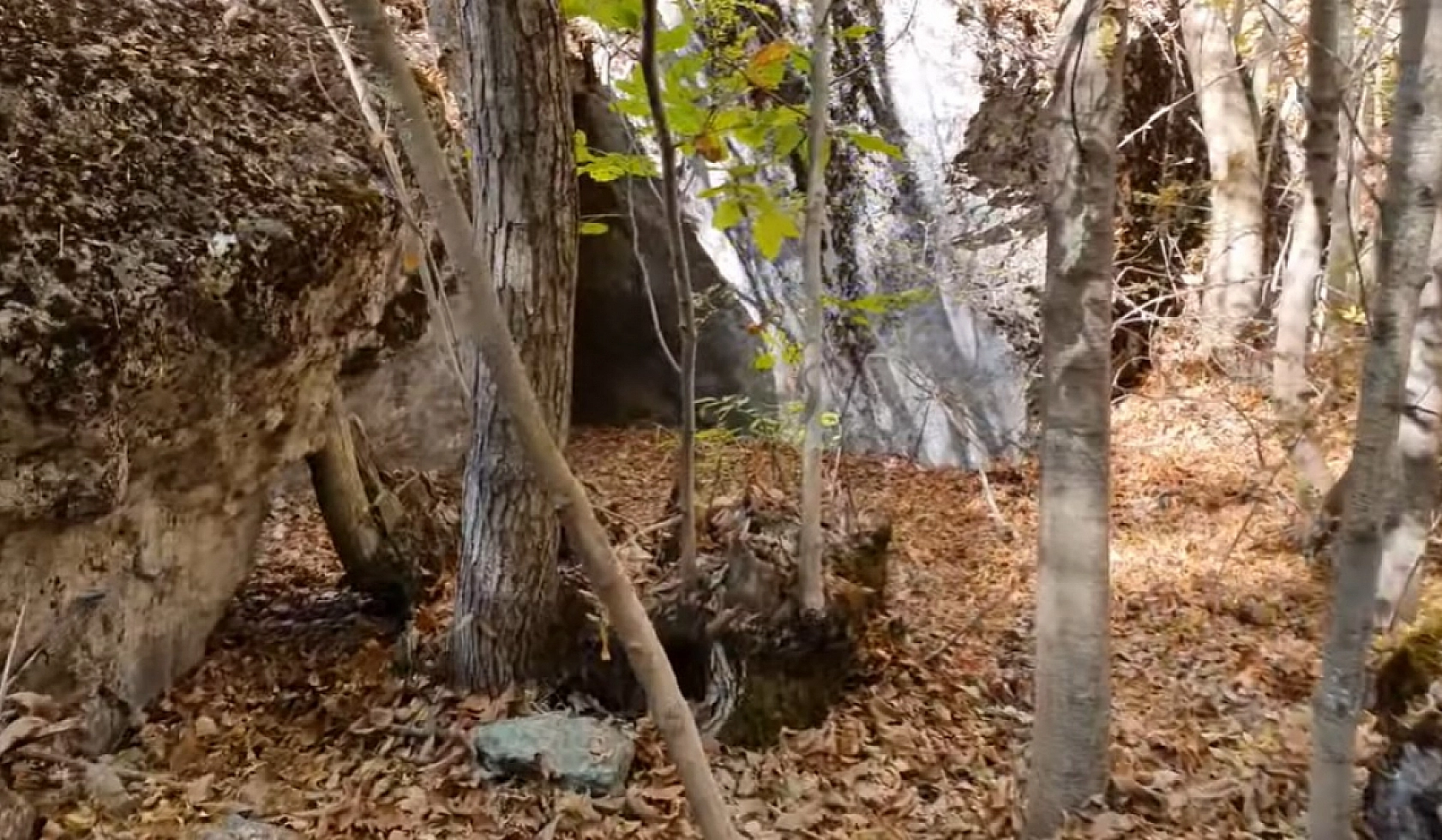 Elazığ merkeze sadece 15 kilometre uzakta! Resmen akın ediyorlar… 