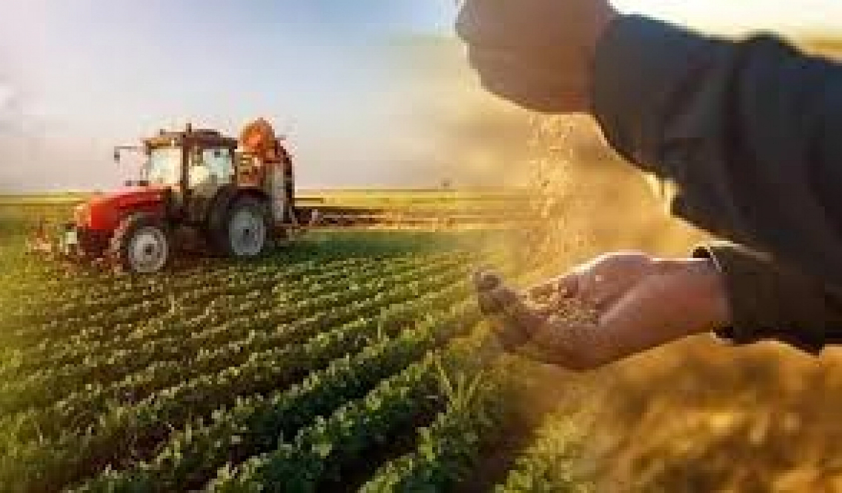 Büyük Potansiyelin Farkında Mıyız? Elazığ Ve Malatya Birinci Ama Yeterli mi?