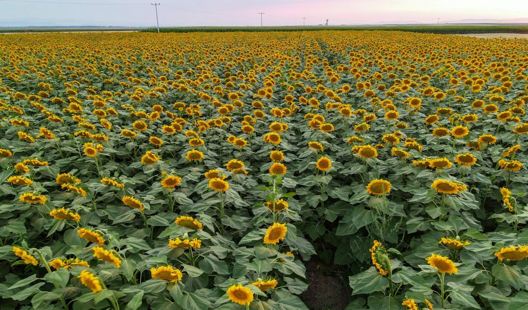 Droncu sınıf öğretmeninin çektiği eşsiz görüntüler hayran bıraktı