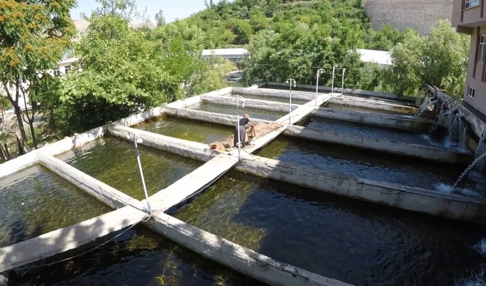 Elazığ'da bulunuyor! Turistler adeta akın ediyor… Dünya'da tek örneği var